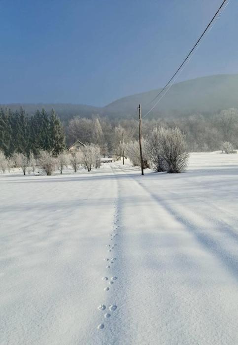 Forestside House Gacka with relax area