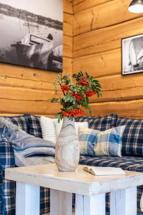 Domki nad jeziorem Widokowo