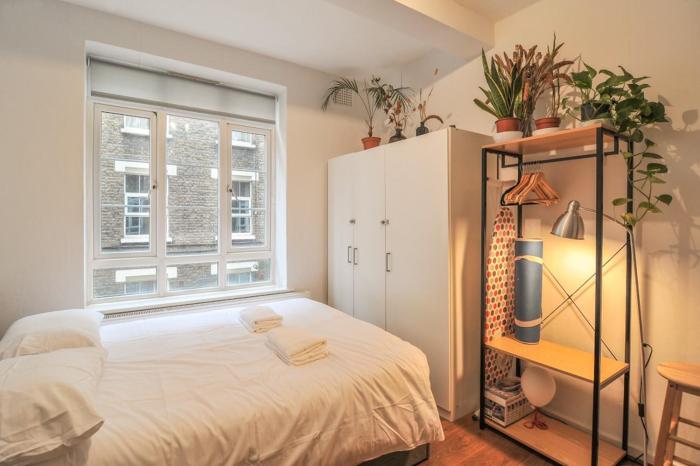Affordable Apartment in Marylebone, entire space