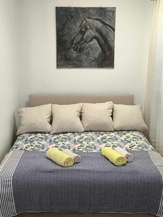 Planinska kuća Vladanka - planina Goč - banjska strana - preko puta ski staze