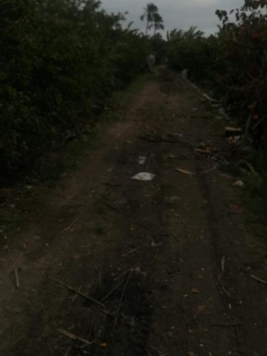 الإسكندرية