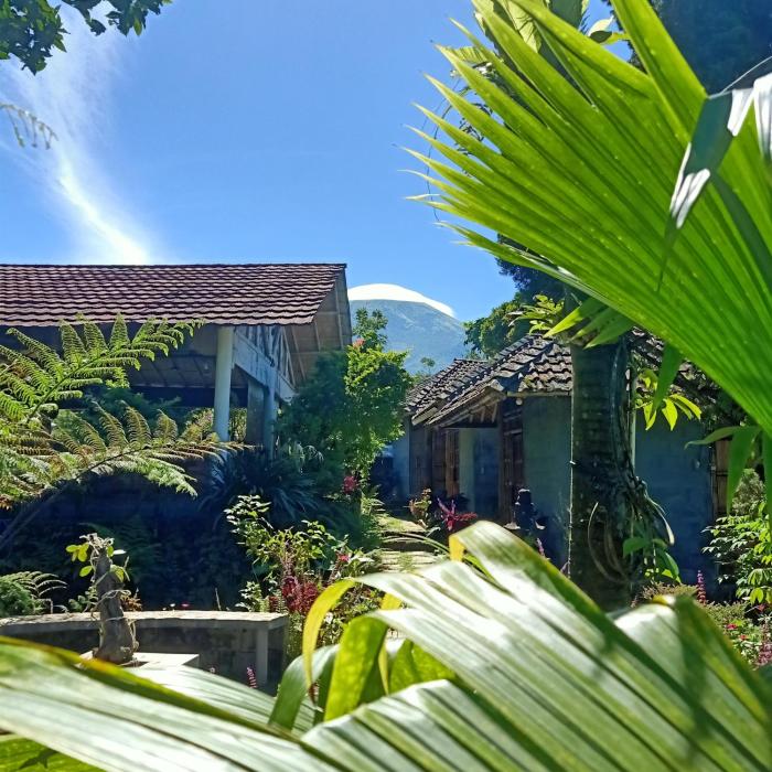 Pondok Bamboo Sendangsari