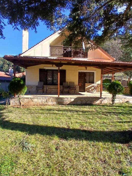 Μονοκατοικία μέσα στα έλατα