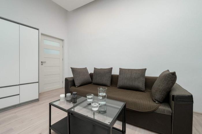 Nowomiejska Spacious Studio Near Plac Wolności in Łódź by Noclegi Renters