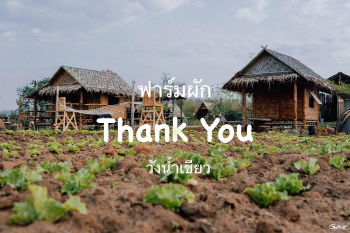 ฟาร์มผัก Thank you
