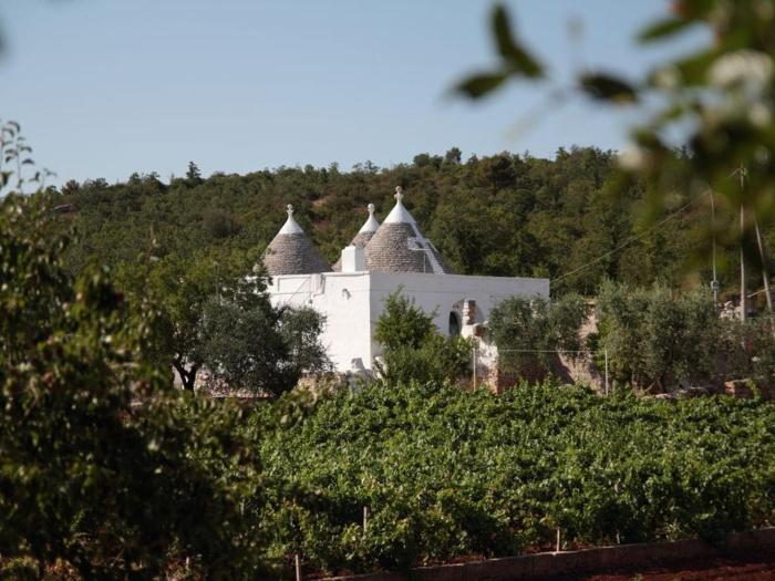 Tipici Trulli immersi nella Valle DItria