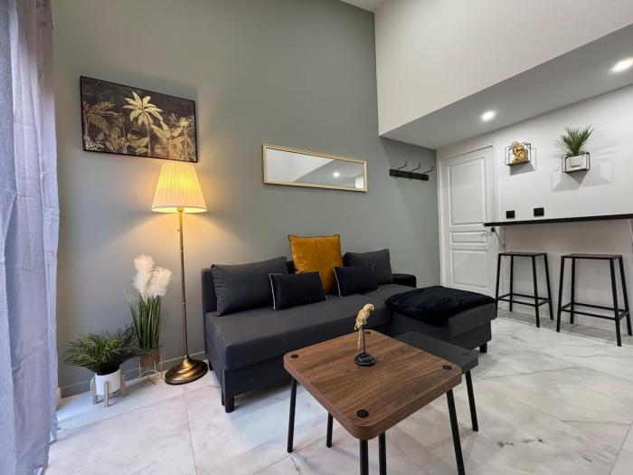 Chic duplex Lyon avec terrasse