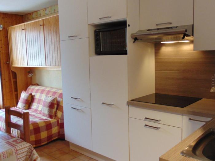 Studio convivial en zone piétonne avec animaux admis, balcon - Chamonix - FR-1-517-23