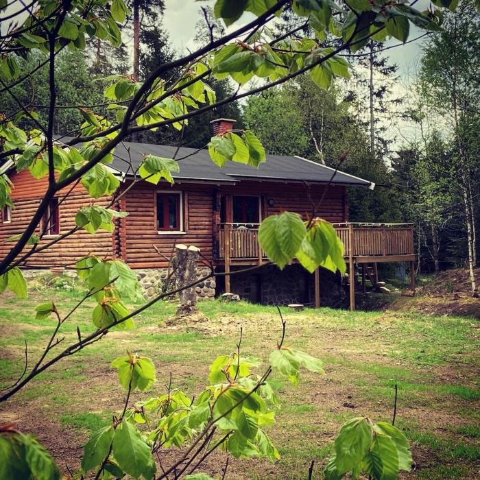 Nice log house near lake and forest in Vittsjö