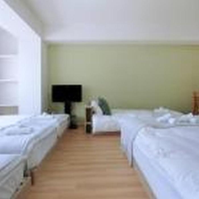 Mutsumi Shinimamiya 501 むつみ庵新今宮 501