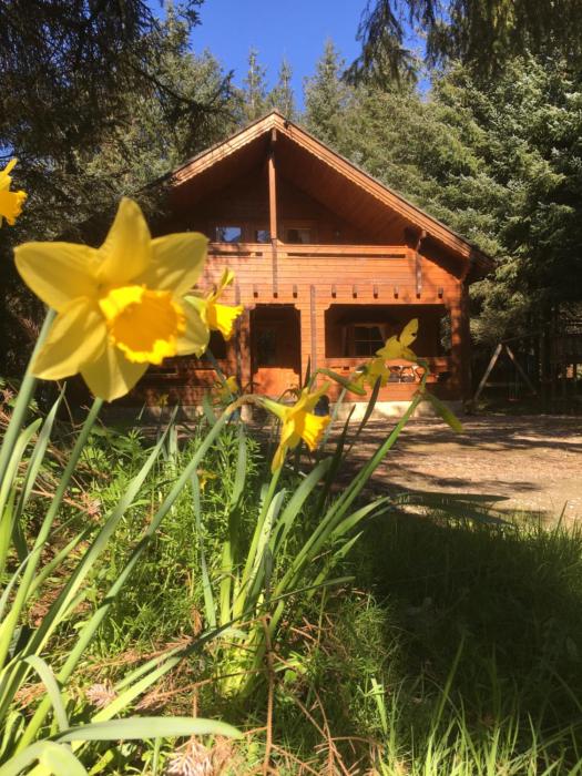 Bernard’s Logcabins