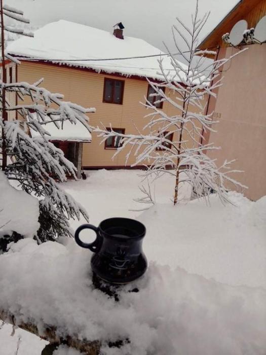 Червона Калина