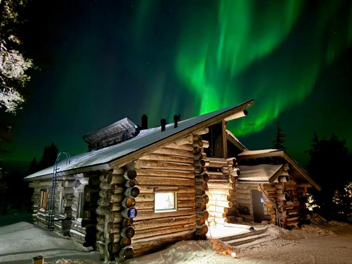 Auroras by Kaltios, Kaltionkuusi