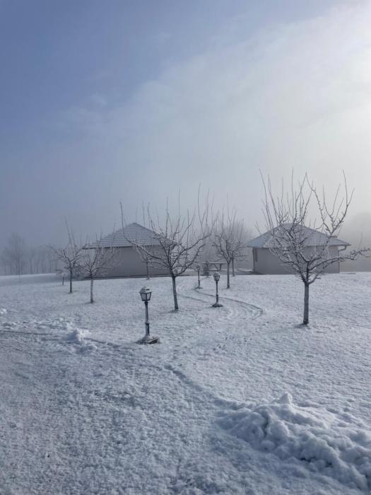 Apartmani Mladenovac