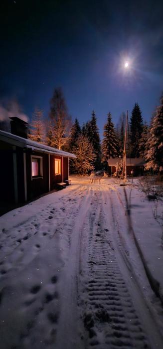 Peacfull cottage in middle of forest