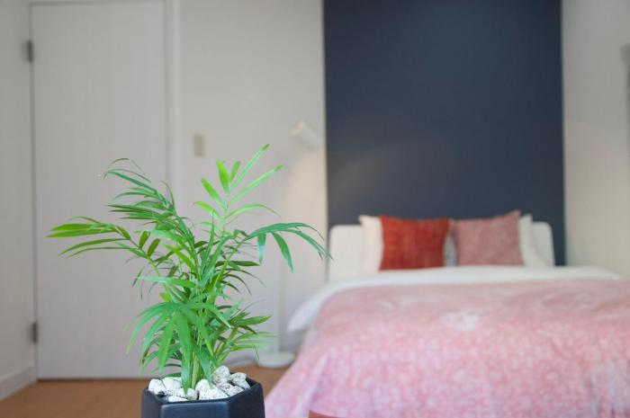 全新装修南品川haven春