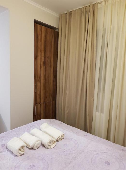 Apartment in Bakuriani villa monte