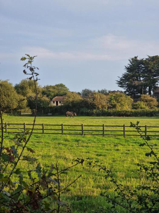 Luxury Seaside Caravan