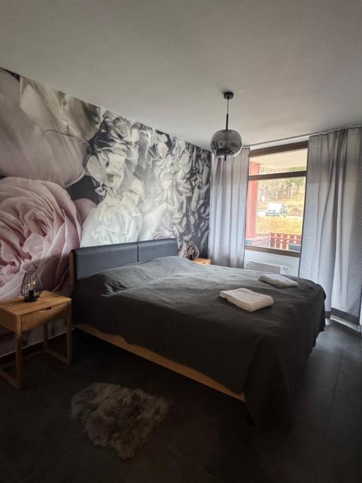 FeWo im Kurhotel in Schluchsee Apartment Loft Style mit Balkon Indoorpool Tiefgaragenstellplatz