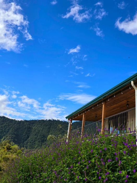 Bosque Tapantí, cerca del PN Tapantí en Orosí, Cartago, Costa Rica