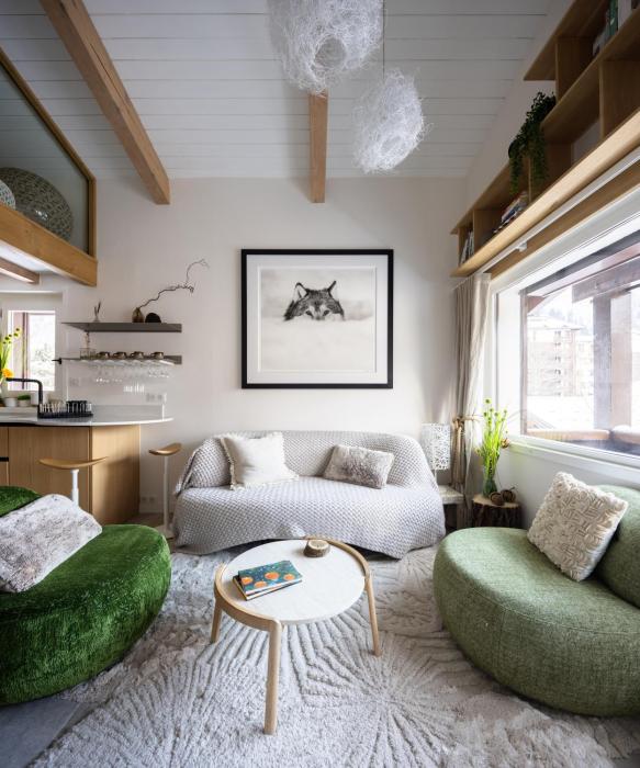 1 bedroom apartment plus mezzanine