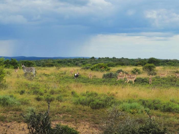 Zoetvlei Dairy House
