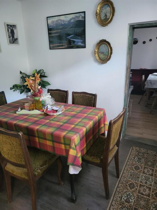 Jošanica-Sokobanja-kod Bine