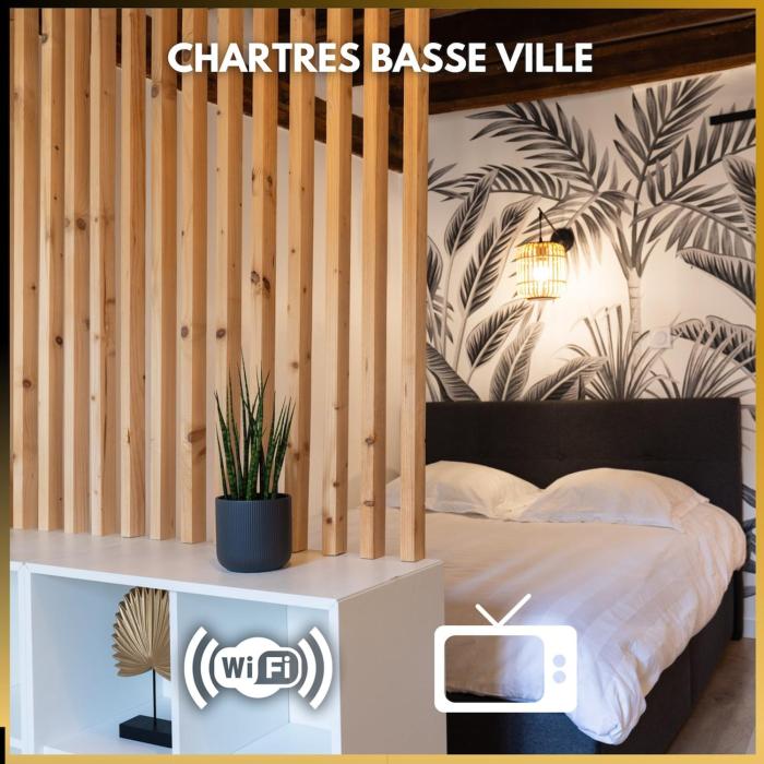 Chartres - Le Pont Bouju - Vue sur LEure