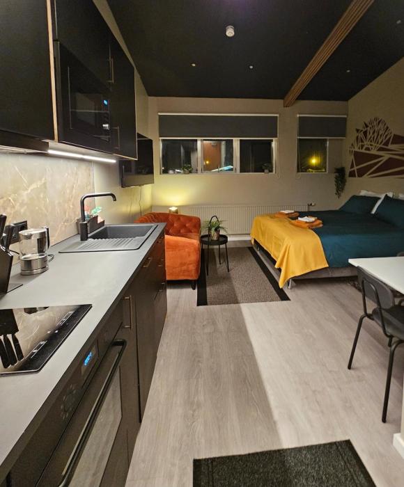 Base apartments ap 209 - Capital region of Reykjavík