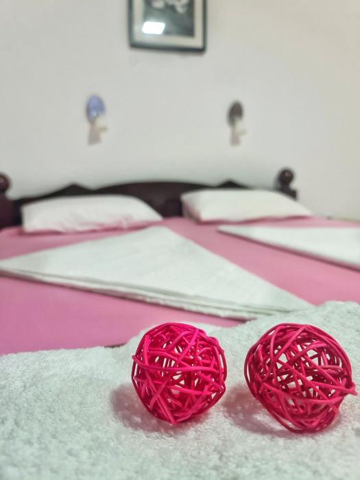 Vila Aleksandra 2 Studio 3