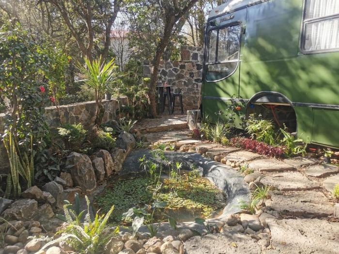 Bus Torino - a dream