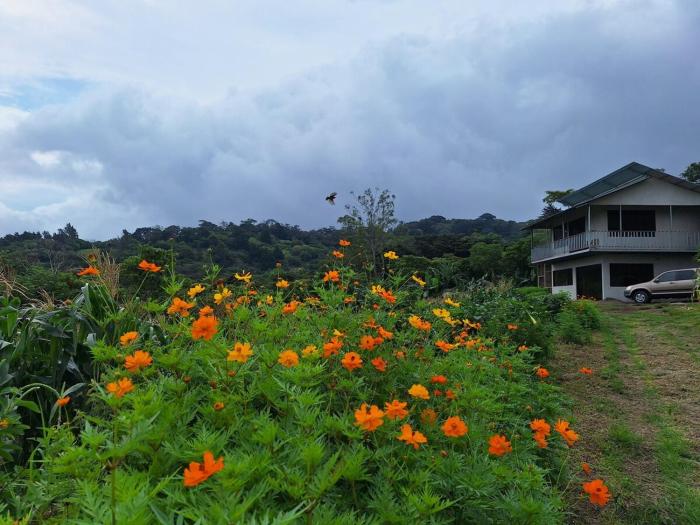 Mountain & sunset view Villa, Monteverde
