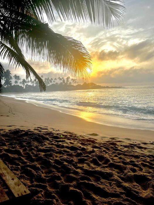 Coconut Palm beach restaurant and rooms