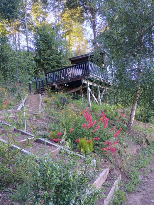 Refugio manos verdes