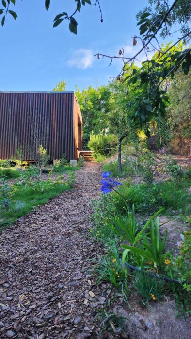 Las Nandinas - Cerezo