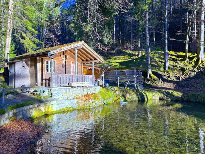 SwissHut Idyllic Farm Cabin - Chalet Grabenmuhle 2