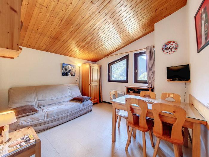 Appartement cosy à La Clusaz, 4 pers, animaux admis, WiFi - FR-1-818-81