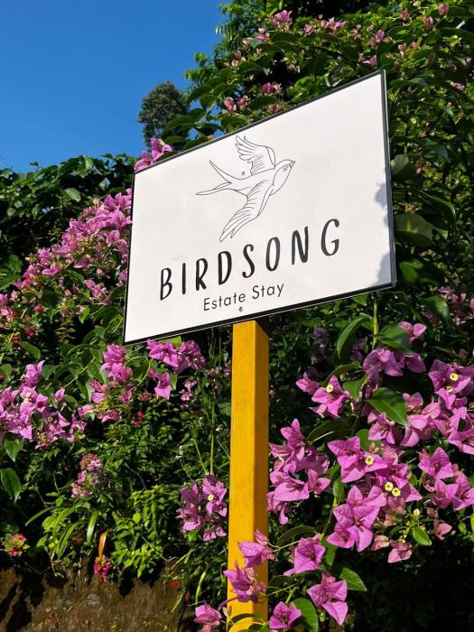 Birdsong Coffee Estate Stay
