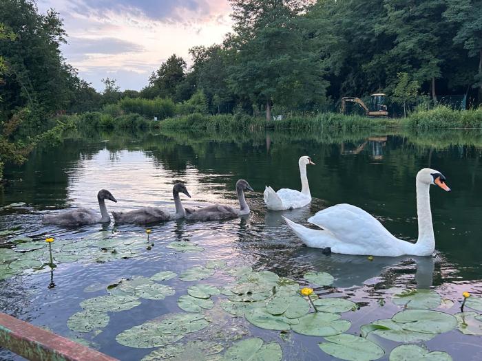 TRANQUILL sur les berges de lIll