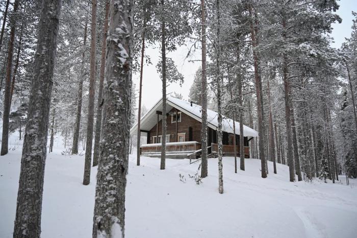 Holiday Cabin Aurora River inc Wilderness Sauna