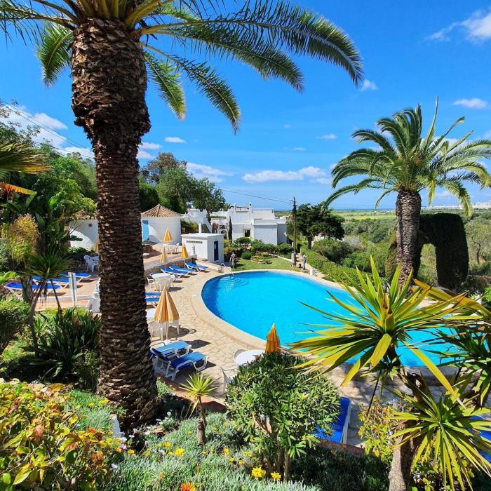 Casa Palmeria , Quinta da Saudade