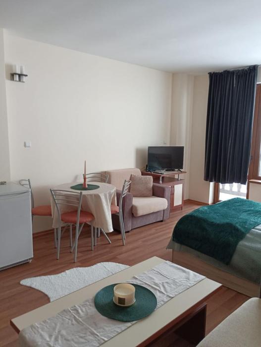 Sunny studio in Pamporovo