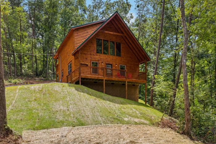 On Blackbeary Hill A cozy 3 BR cabin perfect for a getaway in an enchanting forest setting