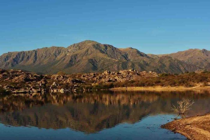 Refugio en el jardin