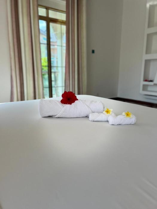skyport villa