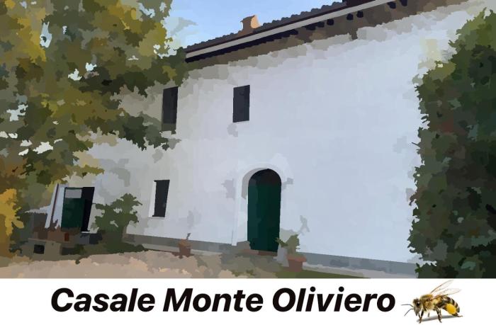 Casale Monte Oliviero - Bike Friendly B&B