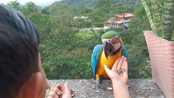 Cabaña en la CRISTALINA San Rafael embrujo de aguas cristalinaa