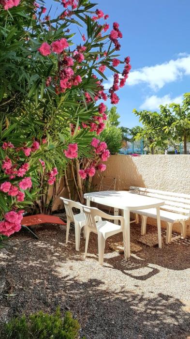 Appartement cosy à Port Leucate 44 m² avec terrasse et jardin