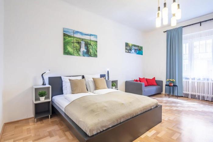 Central Large and Comfy Apartment