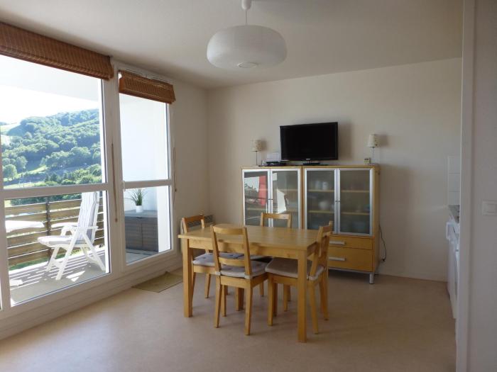 Appartement 6 pers, Wi-Fi, proche pistes ski, garage privé, vue lac et montagnes - FR-1-814-24